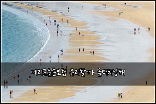 메리츠실손보험 유리할까  올터치상해