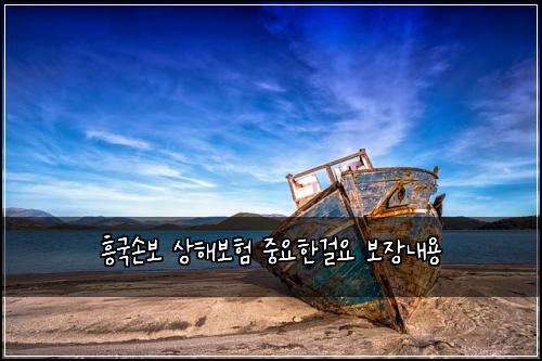 흥국손보 상해보험 중요한걸요  보장내용
