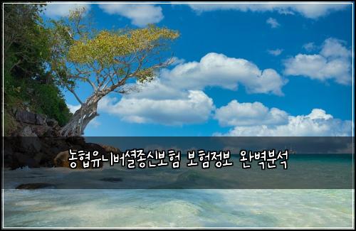 ๋ํ์ ๋๋ฒ์
์ข
์ ๋ณดํ ๋ณดํ์ ๋ณด ์๋ฒฝ๋ถ์
