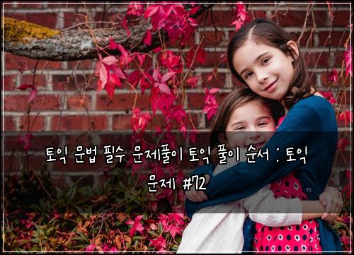 토익 문법 필수 문제풀이 토익 풀이 순서 : 토익 문제 #72