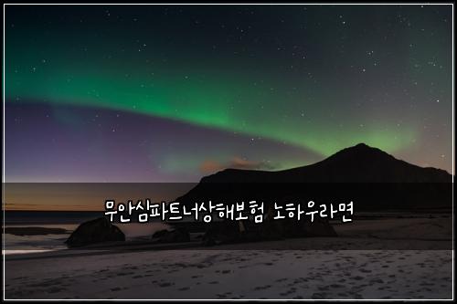 무안심파트너상해보험 노하우라면 