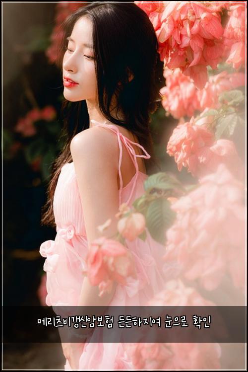 메리츠비갱신암보험 든든하지여  눈으로 확인