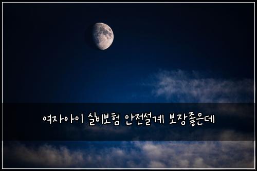 ์ฌ์์์ด ์ค๋น๋ณดํ ์์ ์ค๊ณ ๋ณด์ฅ์ข์๋ฐ