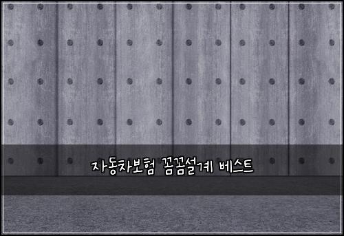 자동차보험 꼼꼼설계  베스트
