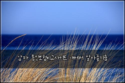 λ¨μ μ’
μ 보νλΉκ΅μ¬μ΄νΈ λ΄μμ μμλκΈ°μ€