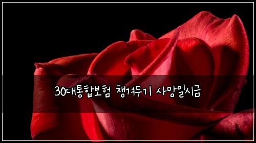 30๋ํตํฉ๋ณดํ ์ฑ๊ฒจ๋๊ธฐ ์ฌ๋ง์ผ์๊ธ