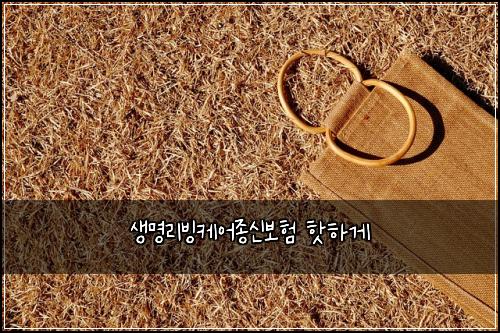 생명리빙케어종신보험 핫하게 