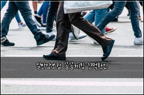 ์ผ๋ฐ์๋ณดํ ๊ผผ๊ผผ์ฒดํน ๊ฒฌ์ ํ์ธ