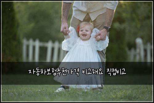 ์๋์ฐจ๋ณดํ์ถ์ฒ๊ฐ๊ฒฉ ๋น๊ตํด์ ์ง์ ๋น๊ต