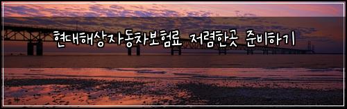 ํ๋ํด์์๋์ฐจ๋ณดํ๋ฃ ์ ๋ ดํ๊ณณ ์ค๋นํ๊ธฐ