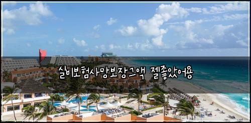 실비보험사망보장그액 젤좋았어용