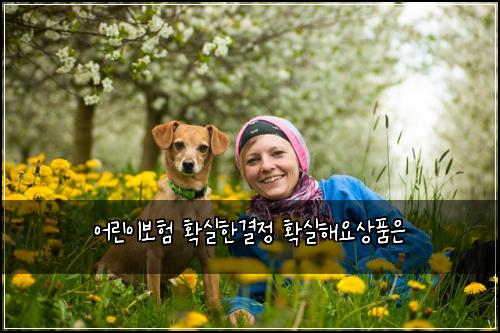 ์ด๋ฆฐ์ด๋ณดํ ํ์คํ๊ฒฐ์ ํ์คํด์์ํ์