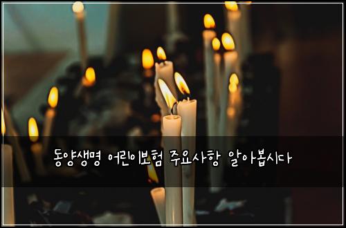 동양생명 어린이보험 주요사항  알아봅시다