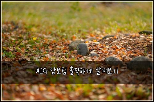 AIG 암보험 솔직하게 살펴보기