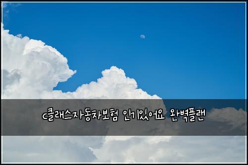 cν΄λμ€μλ차보ν μΈκΈ°μμ΄μ μλ²½νλ