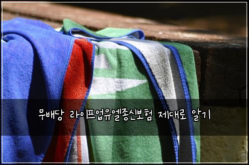 무배당 라이프업유엘종신보험 제대로 알기