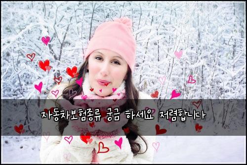 자동차보험종류 궁금 하세요 저렴합니다