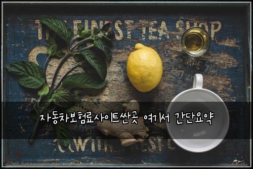 자동차보험료사이트싼곳 여기서 간단요약