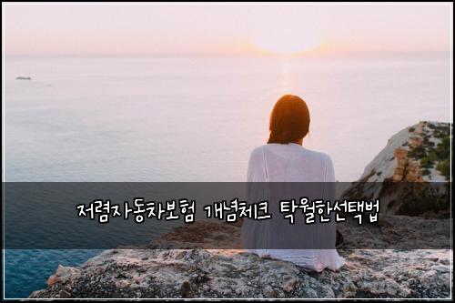 ์ ๋ ด์๋์ฐจ๋ณดํ ๊ฐ๋
์ฒดํฌ ํ์ํ์ ํ๋ฒ