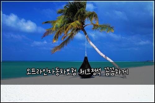 오프라인자동차보험 체크정석  꼼꼼하게