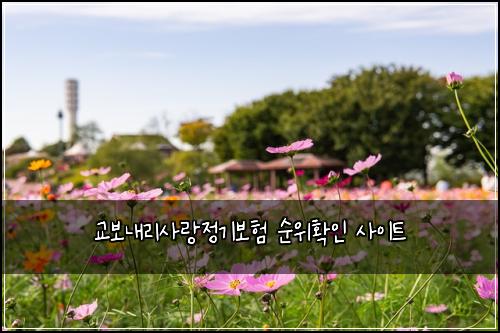๊ต๋ณด๋ด๋ฆฌ์ฌ๋์ ๊ธฐ๋ณดํ ์์ํ์ธ ์ฌ์ดํธ