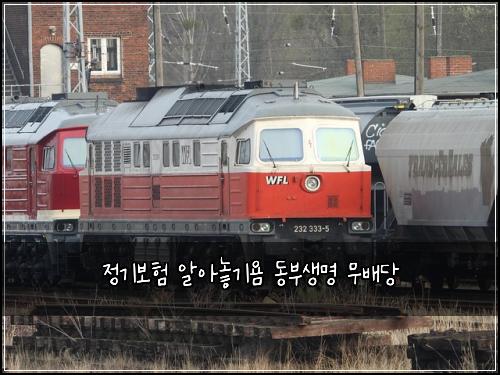정기보험 알아놓기욤  동부생명 무배당