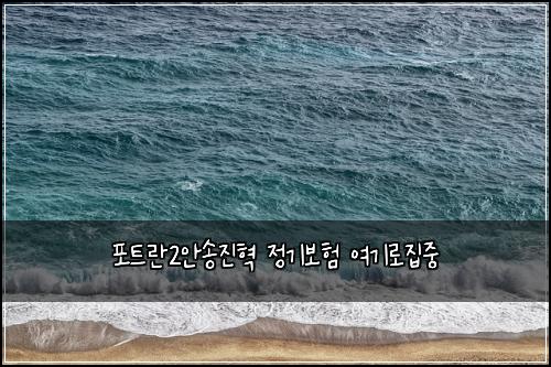 포트란2안송진혁 정기보험 여기로집중 
