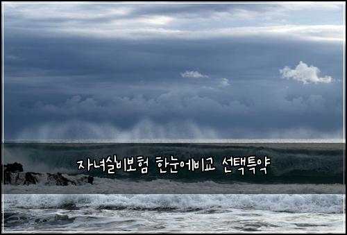 자녀실비보험 한눈에비교  선택특약