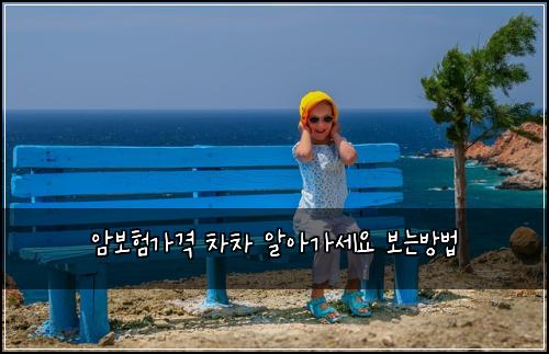 암보험가격 차차 알아가세요 보는방법