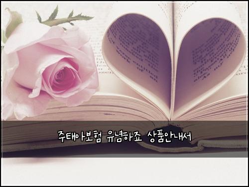 주태아보험 유념하죠  상품안내서