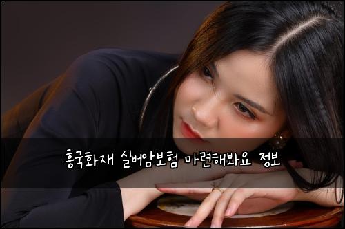 흥국화재 실버암보험 마련해봐요  정보