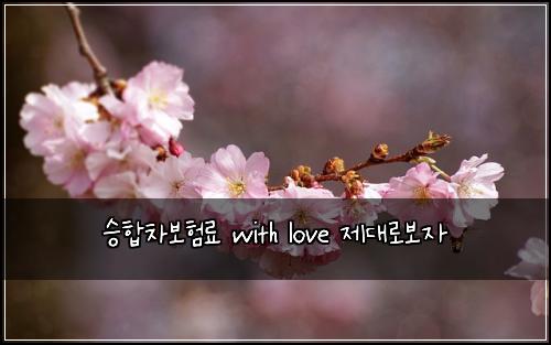 μΉν©μ°¨λ³΄νλ£ with love μ λλ‘보μ