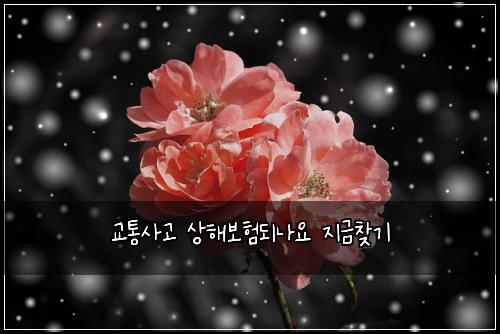 ๊ตํต์ฌ๊ณ ์ํด๋ณดํ๋๋์ ์ง๊ธ์ฐพ๊ธฐ