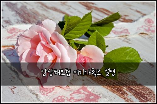 ์์ํด๋ณดํ ์ฌ๊ธฐ๊ฐ์ต์ค ์ค๋ช
