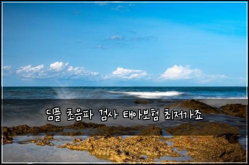 ๋คํ ์ด์ํ ๊ฒ์ฌ ํ์๋ณดํ ์ต์ ๊ฐ์ฃ