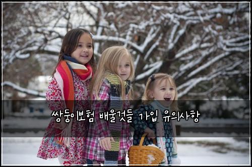 쌍둥이보험 배울것들  가입 유의사항