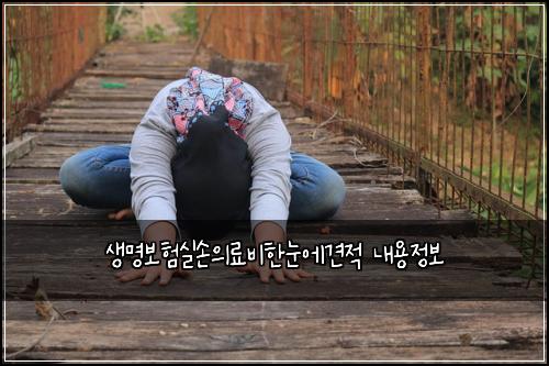 ์๋ช
๋ณดํ์ค์์๋ฃ๋นํ๋์๊ฒฌ์ ๋ด์ฉ์ ๋ณด