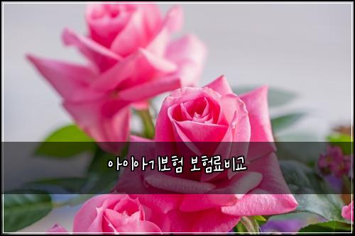 아이아기보험 보험료비교 