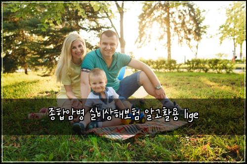 종합암병 실비상해보험 알고활용  lige