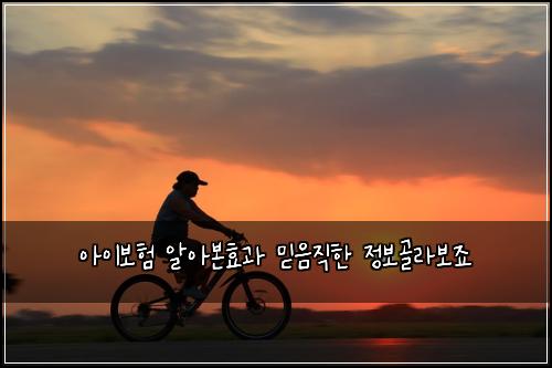 ์์ด๋ณดํ ์์๋ณธํจ๊ณผ ๋ฏฟ์์งํ ์ ๋ณด๊ณจ๋ผ๋ณด์ฃ