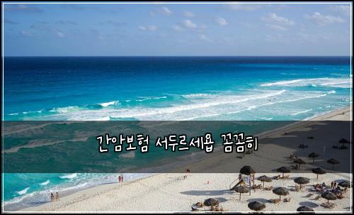 간암보험 서두르세욥  꼼꼼히