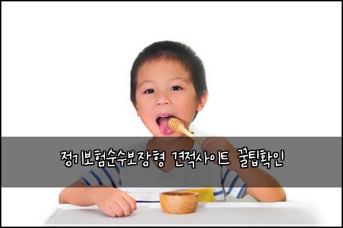 정기보험순수보장형 견적사이트 꿀팁확인