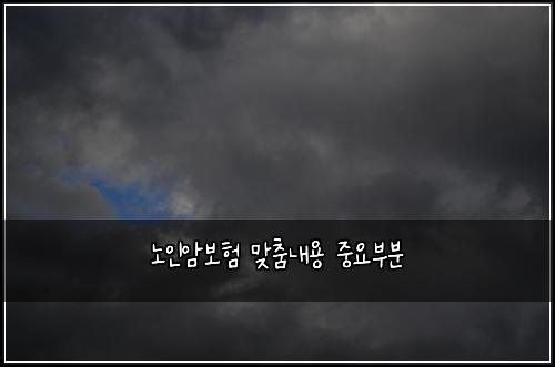 노인암보험 맞춤내용  중요부분