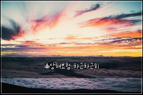 db상해보험 차근차근히 