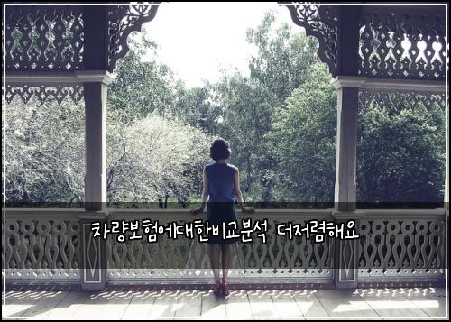차량보험에대한비교분석 더저렴해요