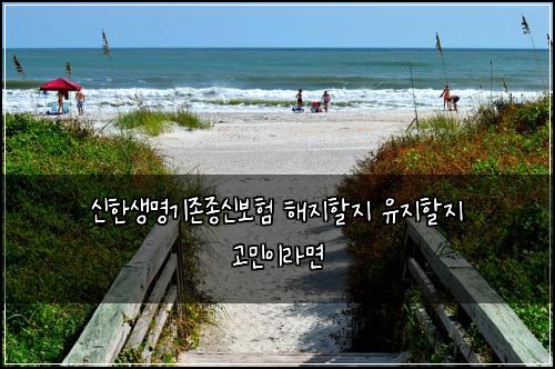 신한생명기존종신보험 해지할지 유지할지 고민이라면