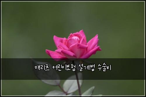 매리츠 어린이보험 설계법  수술비
