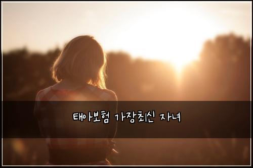 태아보험 가장최신  자녀