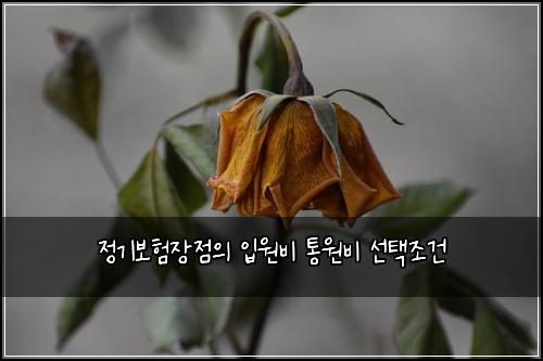 정기보험장점의 입원비 통원비 선택조건