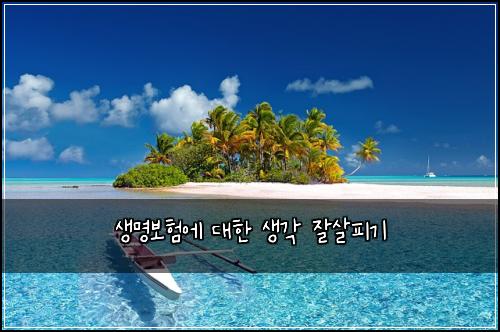 생명보험에 대한 생각 잘살피기
